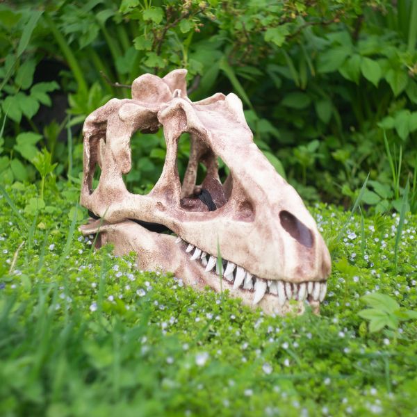 Realistic Tyrannosaurus Rex skull mask wearable 3D scan dinosaur helmet