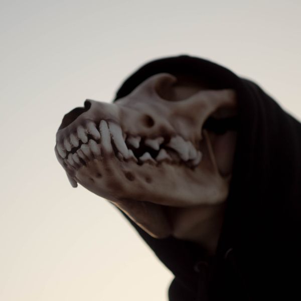 Realistic wolf skull mask wearable 3D printed cosplay helmet