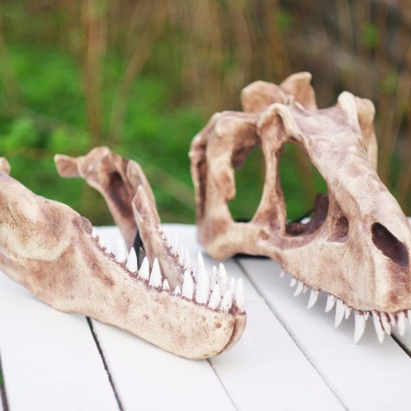 Realistic Tyrannosaurus Rex skull mask wearable 3D scan dinosaur helmet