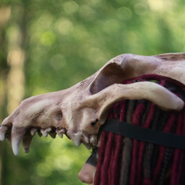 Realistic wolf skull crown mask wearable 3D printed helmet