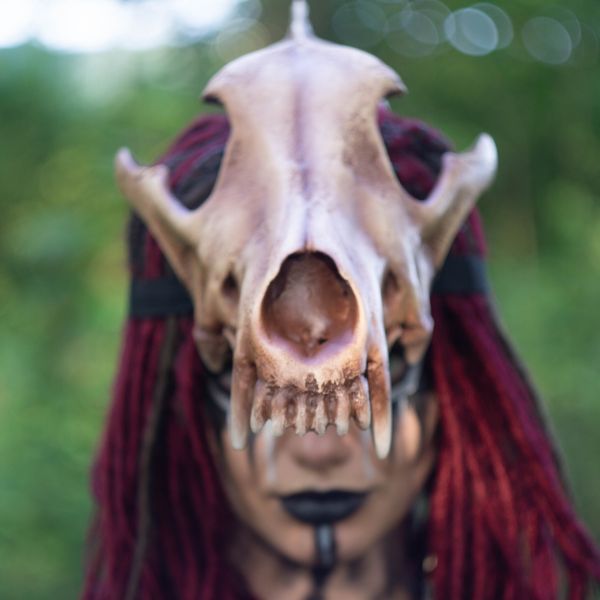 Realistic wolf skull crown mask wearable 3D printed helmet