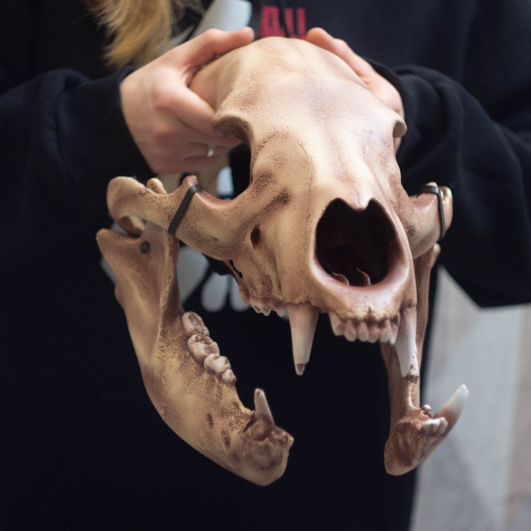 Realistic bear skull helmet mask wearable 3D scan cosplay prop