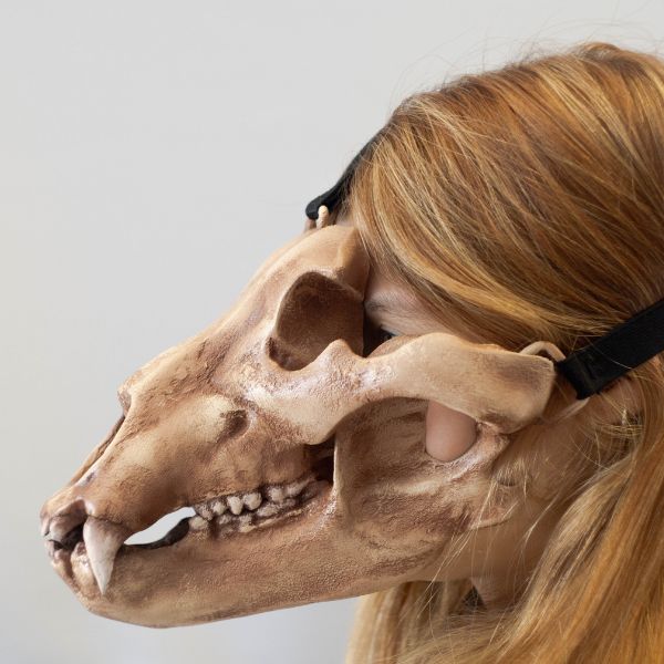 Realistic bear skull mask wearable 3D printed cosplay helmet