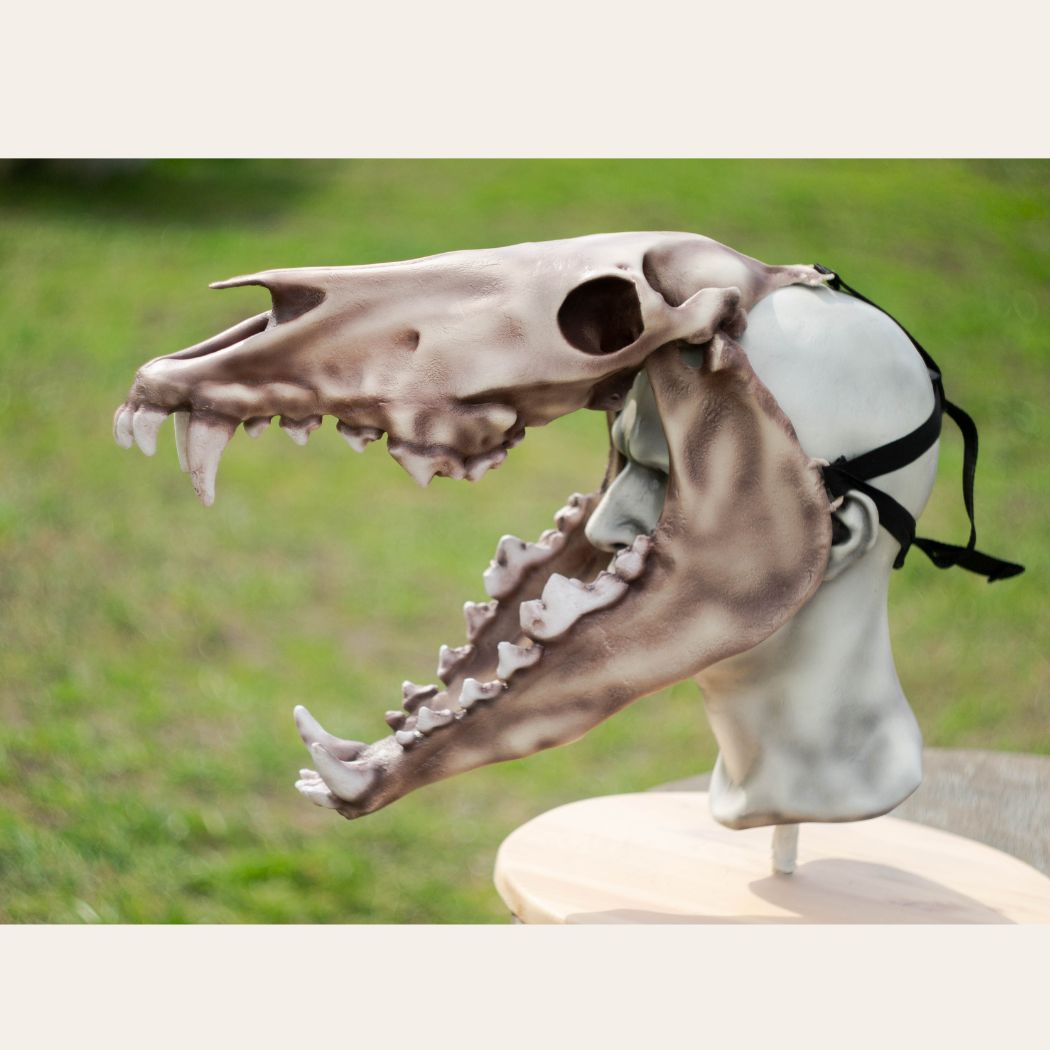 Realistic wendigo skull mask wearable 3D printed cosplay helmet