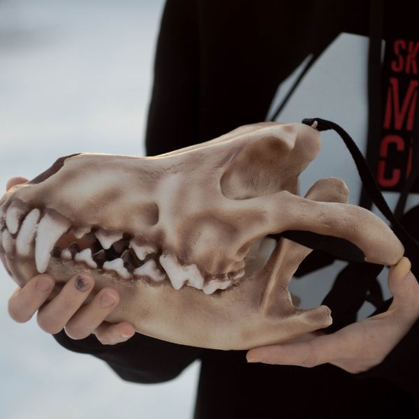 Realistic wolf skull mask wearable 3D printed cosplay helmet