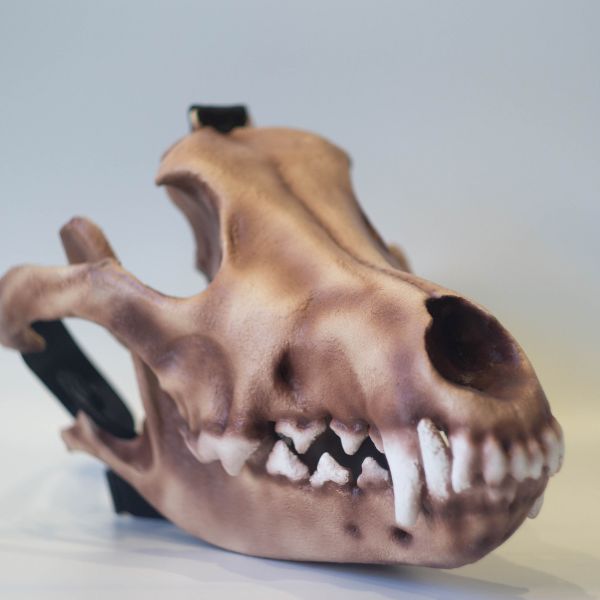 Realistic wolf skull mask wearable 3D printed cosplay helmet