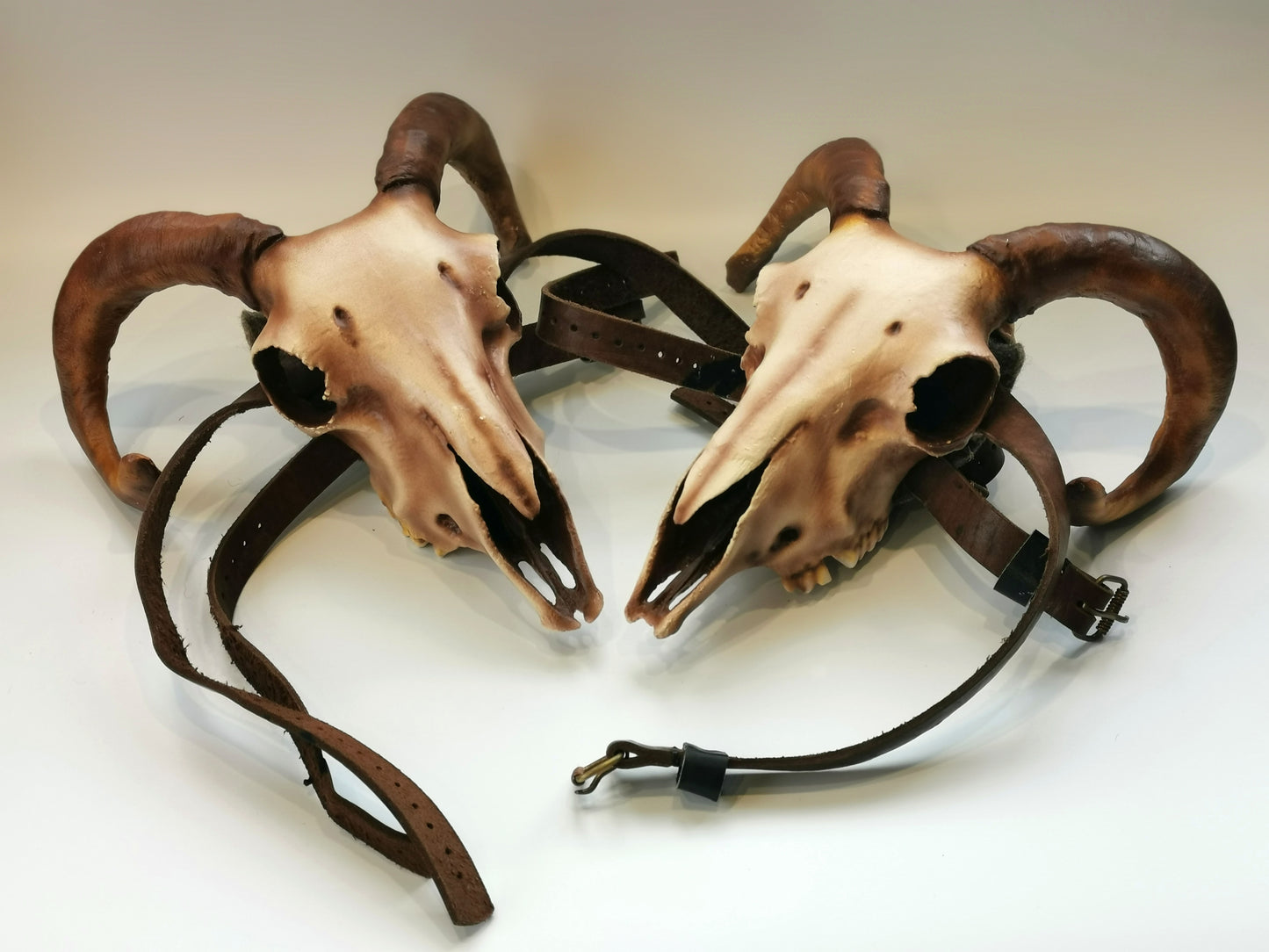 Viking Ram Skull Pauldrons - Cosplay Shoulder Armor (Pair)