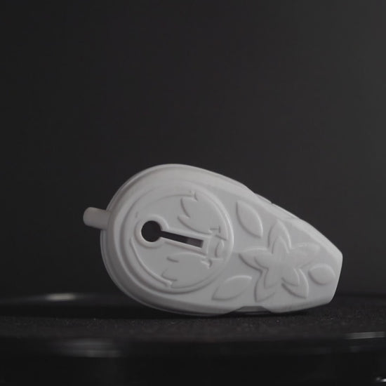 Lyza's White Whistle