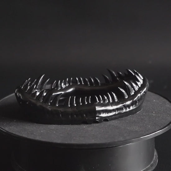 Soap-Dish-T-Rex-Skull-soap-holder-bathroom-soap-dish-bathroom-accessory-