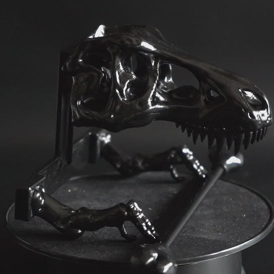 T-Rex-Bathroom-Accessory-Set-Toilet-Paper-Holder-Soap-Dish-Toothbrush-Holder-2-Towel-Hooks-dinosaur-bathroom-set-